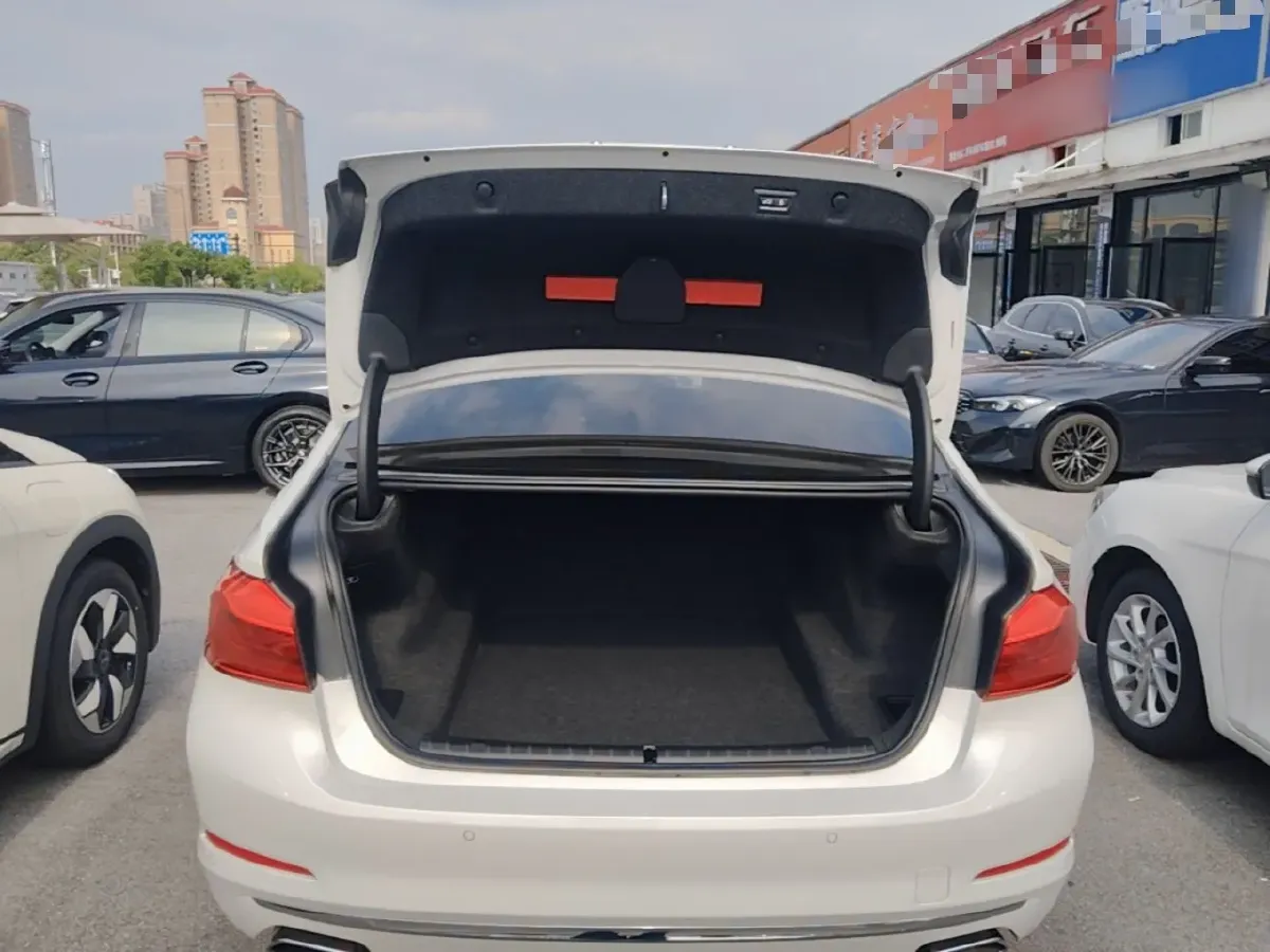 2018 BMW 5 Series 2.0T 252HP L4 8AT,autocango,china used car exporter,china ev exporter,chinese used car exporter,chinese used ev exporter