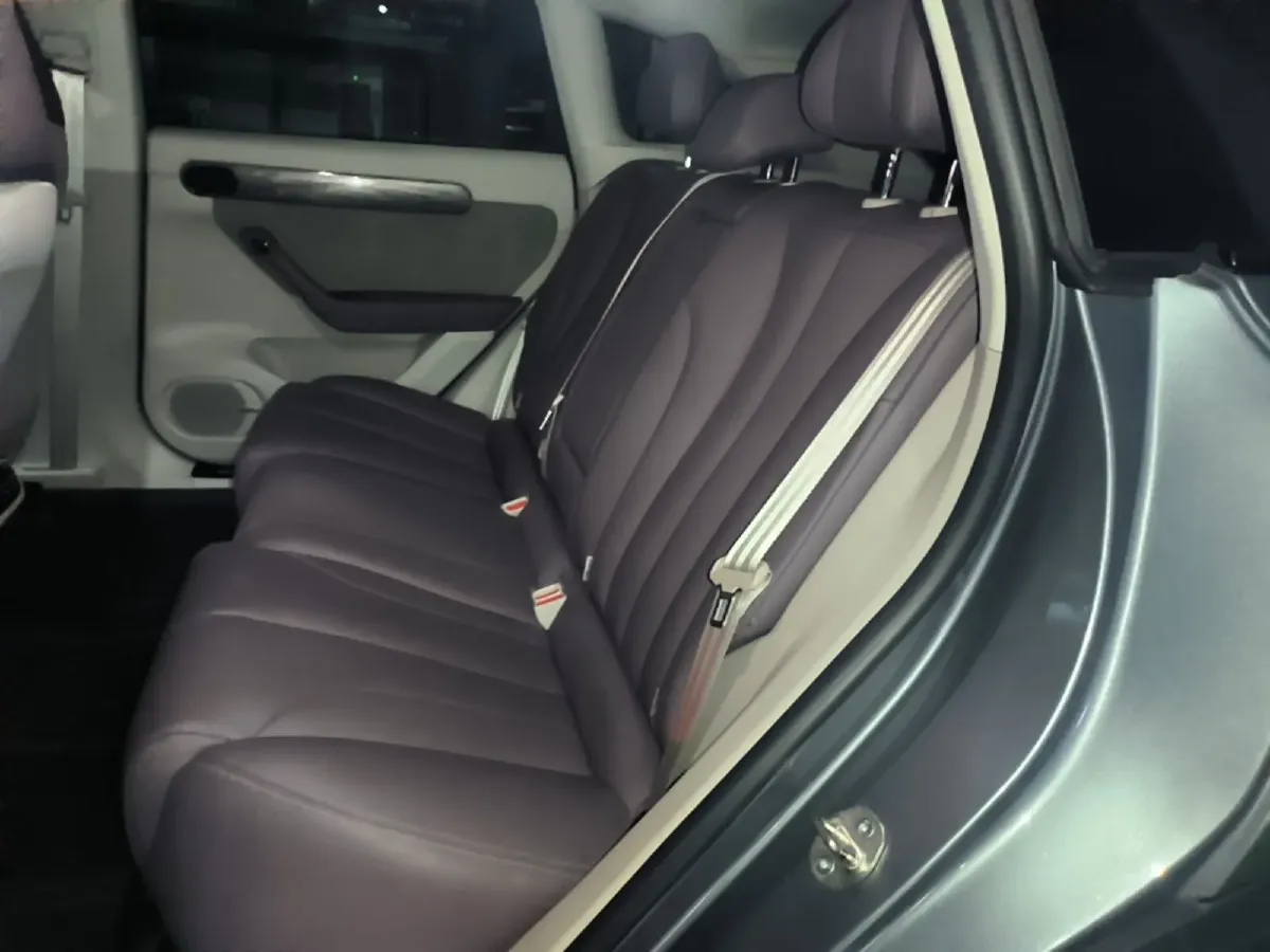 2021 Leapmotor C11 BEV 78.54KWH,autocango,china used car exporter,china ev exporter,chinese used car exporter,chinese used ev exporter
