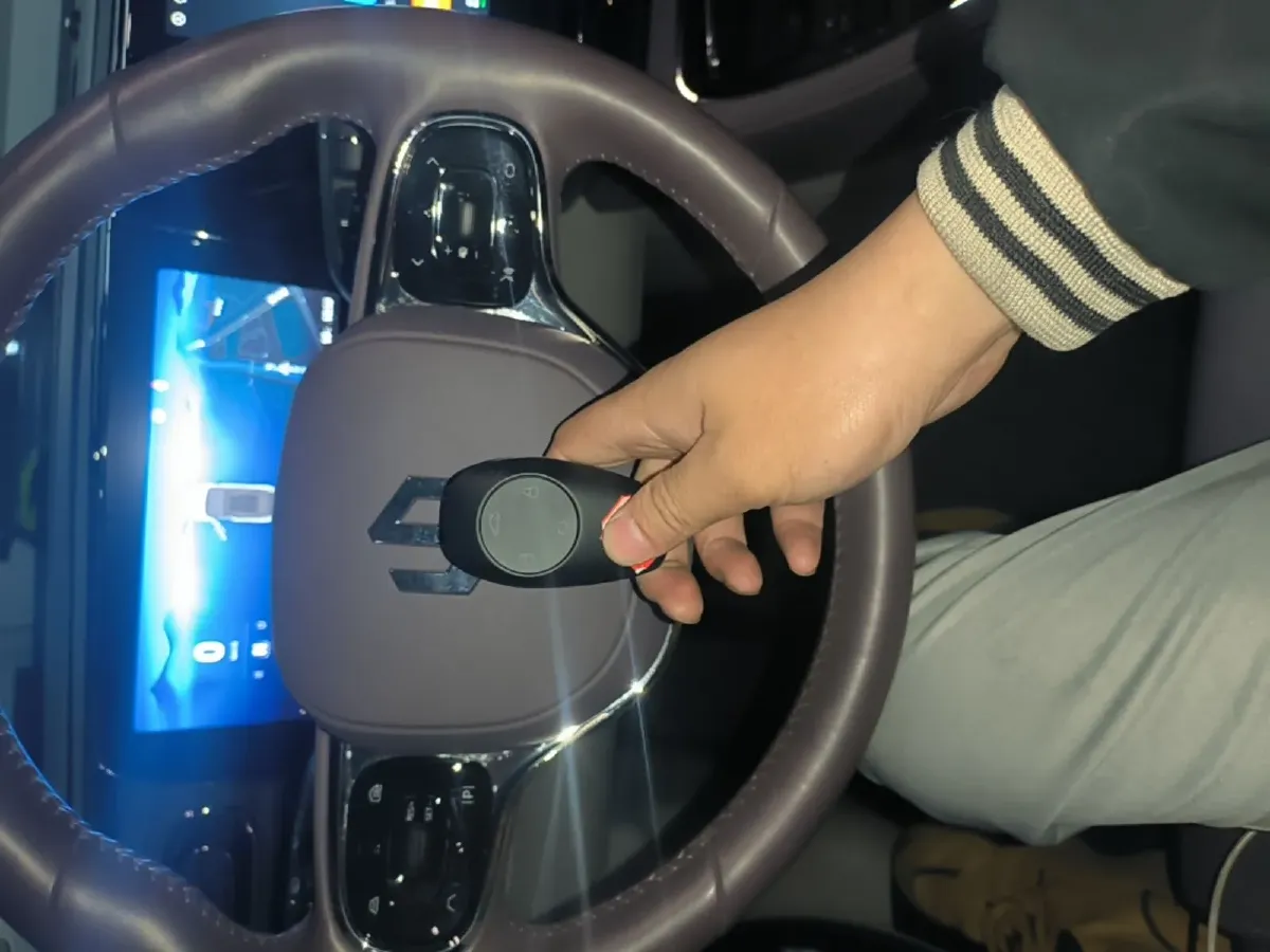 2021 Leapmotor C11 BEV 78.54KWH,autocango,china used car exporter,china ev exporter,chinese used car exporter,chinese used ev exporter