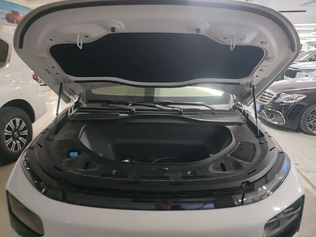2022 Xpeng G9 BEV 98KWH,autocango,china used car exporter,china ev exporter,chinese used car exporter,chinese used ev exporter