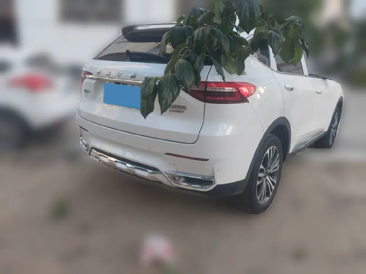 2021 Haval F7 2.0T 224HP L4 7DCT,autocango,china used car exporter,china ev exporter,chinese used car exporter,chinese used ev exporter