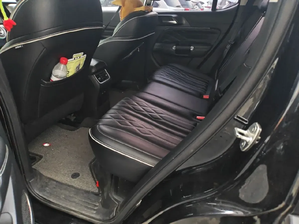 2021 Tank 300 2.0T 227HP L4 8AT,autocango,china used car exporter,china ev exporter,chinese used car exporter,chinese used ev exporter