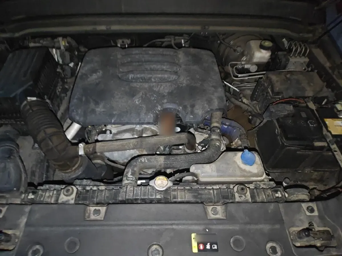 2021 Tank 300 2.0T 227HP L4 8AT,autocango,china used car exporter,china ev exporter,chinese used car exporter,chinese used ev exporter