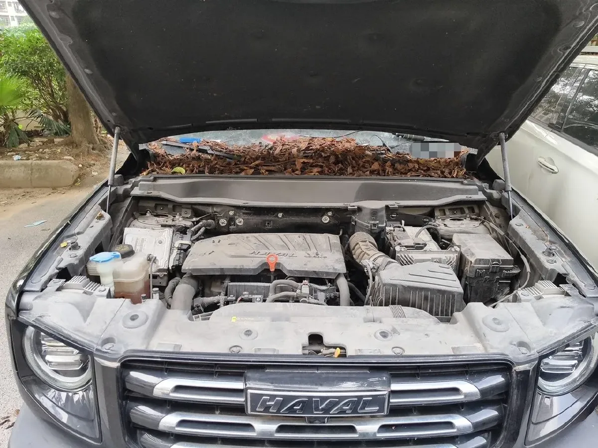 2021 Exceed TXL 1.6T 197HP L4 7DCT,autocango,china used car exporter,china ev exporter,chinese used car exporter,chinese used ev exporter