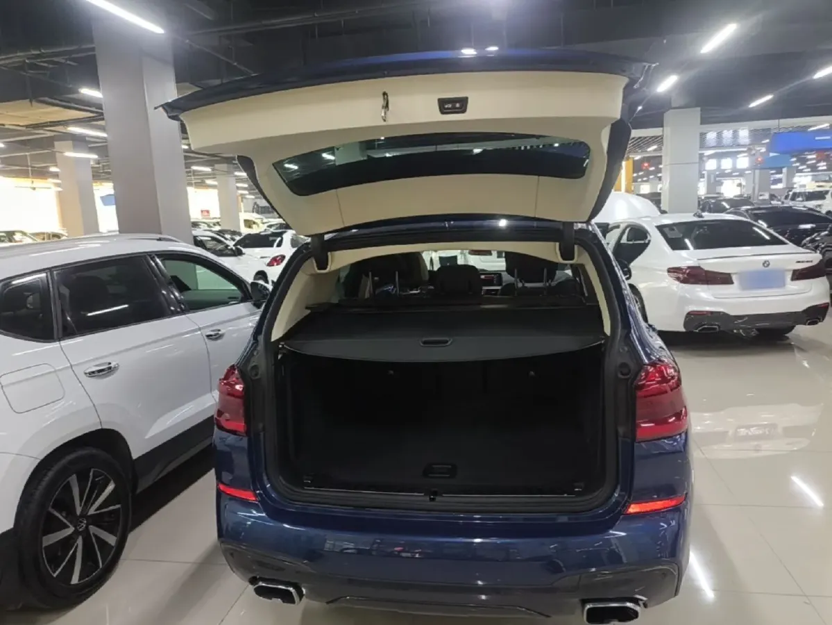 2020 BMW X3 2.0T 224HP L4 8AT,autocango,china used car exporter,china ev exporter,chinese used car exporter,chinese used ev exporter