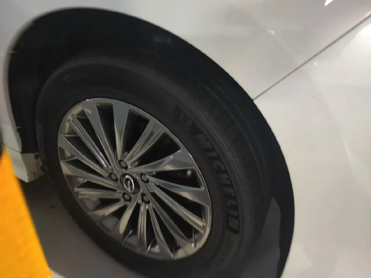 2021 GAC Trumpchi M8 2.0T 252HP L4 8AT,autocango,china used car exporter,china ev exporter,chinese used car exporter,chinese used ev exporter