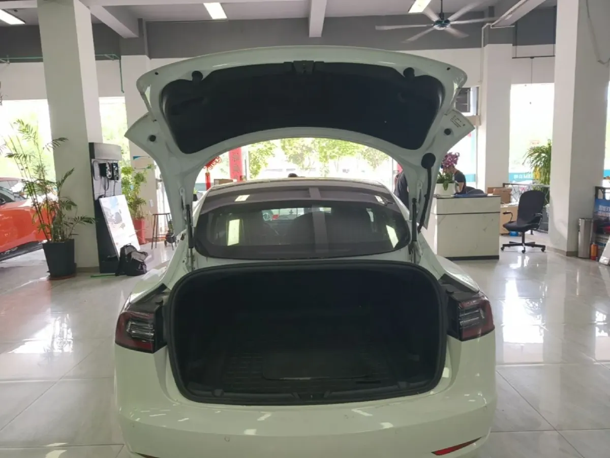 2019 Tesla Model 3 BEV 81KWH,autocango,china used car exporter,china ev exporter,chinese used car exporter,chinese used ev exporter