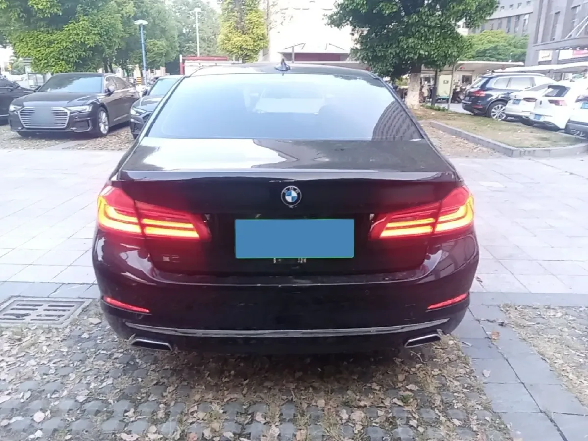 2020 BMW 5 Series 2.0T 252HP L4 8AT,autocango,china used car exporter,china ev exporter,chinese used car exporter,chinese used ev exporter