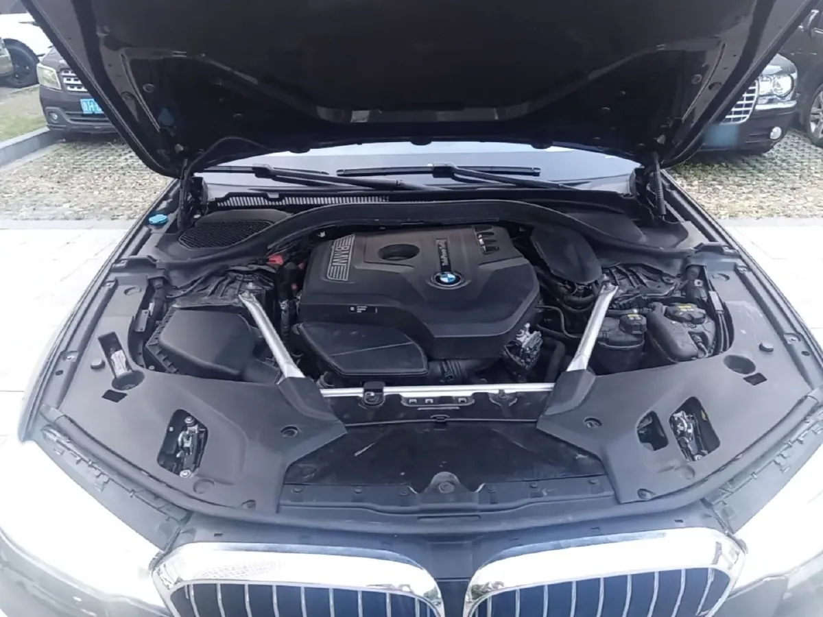 2020 BMW 5 Series 2.0T 252HP L4 8AT,autocango,china used car exporter,china ev exporter,chinese used car exporter,chinese used ev exporter