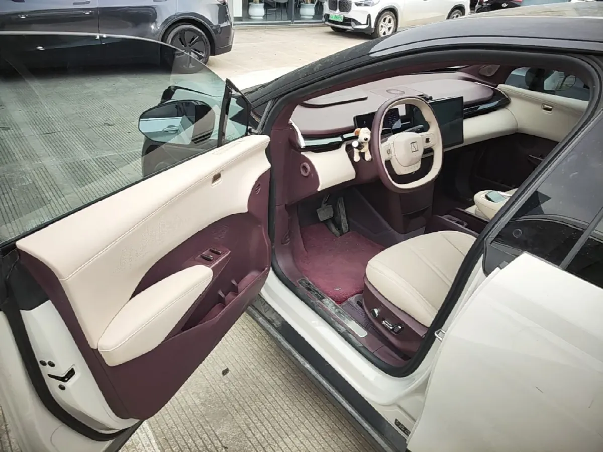 2023 Zeekr X BEV 66KWH,autocango,china used car exporter,china ev exporter,chinese used car exporter,chinese used ev exporter