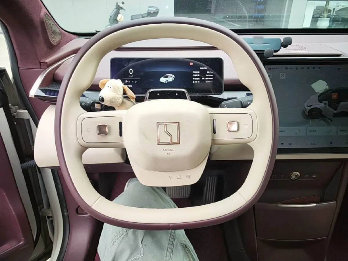 2023 Zeekr X BEV 66KWH,autocango,china used car exporter,china ev exporter,chinese used car exporter,chinese used ev exporter