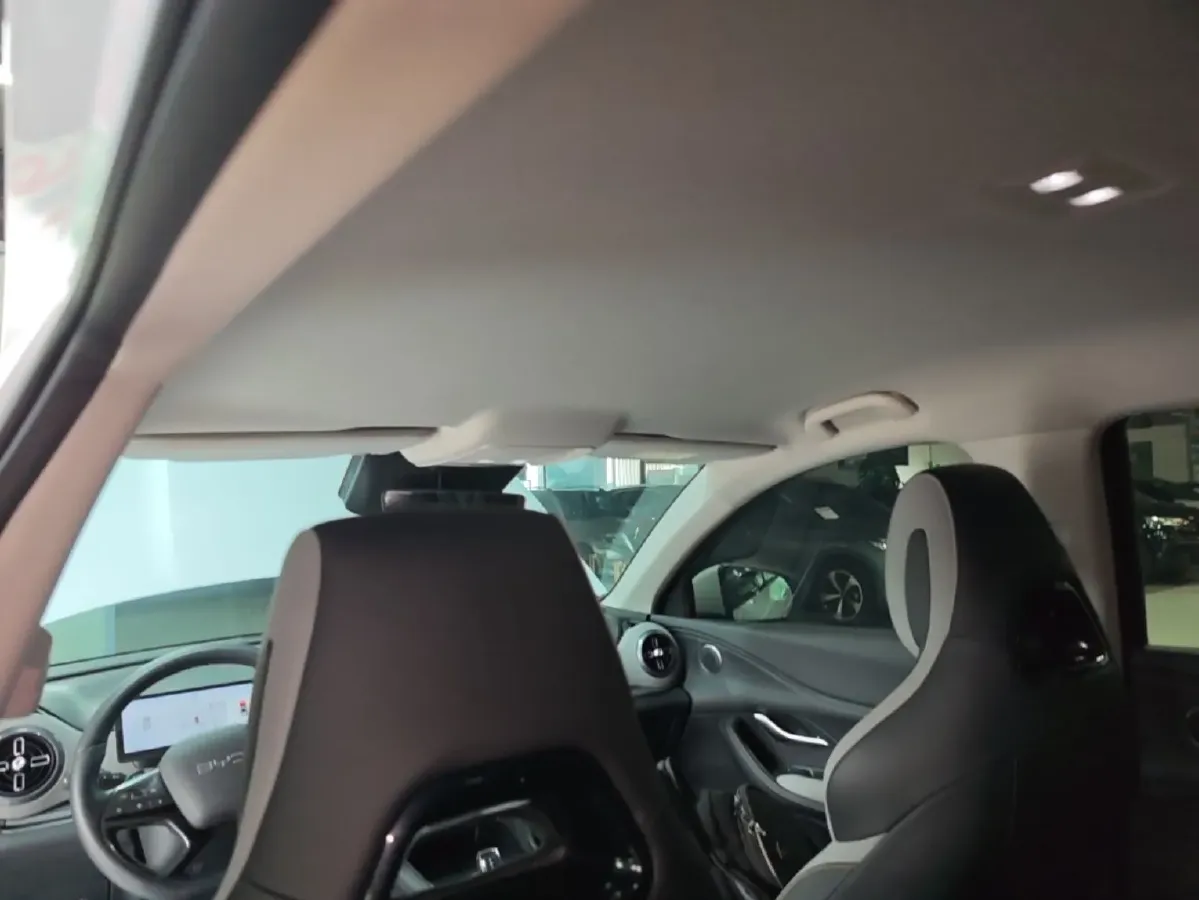 2025 BYD Sea Lion 05 DM-i 1.5L 101HP L4 E-CVT PHEV 12.9KWH,autocango,china used car exporter,china ev exporter,chinese used car exporter,chinese used ev exporter