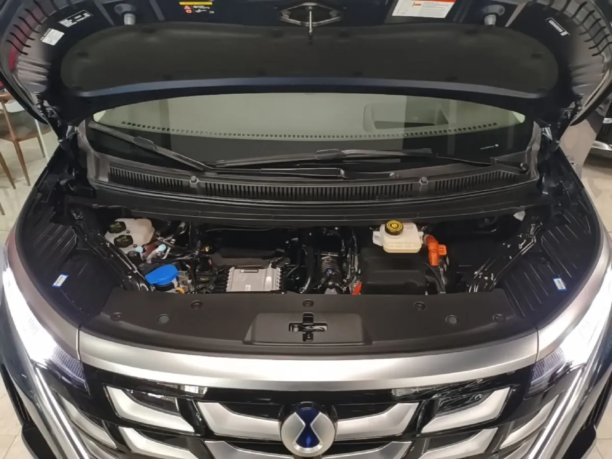 2025 Denza D9 1.5T 156HP L4 E-CVT PHEV 40KWH,autocango,china used car exporter,china ev exporter,chinese used car exporter,chinese used ev exporter