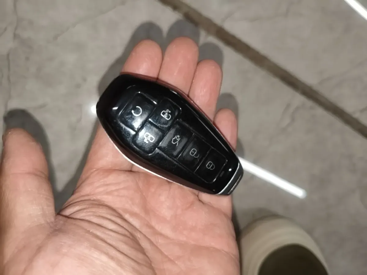 2025 Denza D9 1.5T 156HP L4 E-CVT PHEV 40KWH,autocango,china used car exporter,china ev exporter,chinese used car exporter,chinese used ev exporter