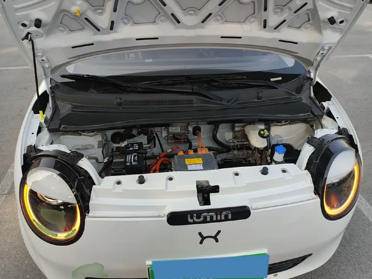 2025 ChangAn QiYuan Lumin BEV,autocango,china used car exporter,china ev exporter,chinese used car exporter,chinese used ev exporter