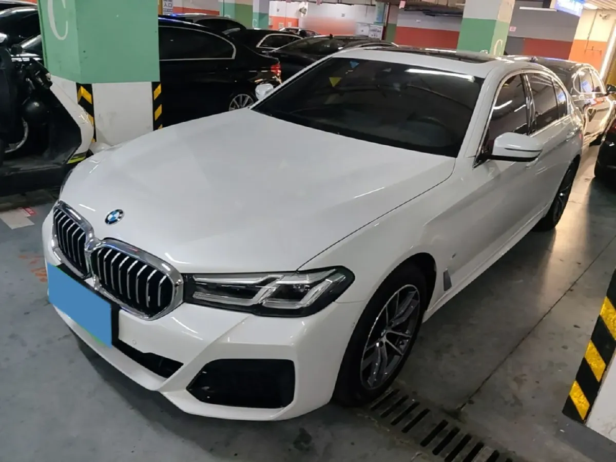 2021 BMW 5 Series 2.0T 184HP L4 8AT,autocango,china used car exporter,china ev exporter,chinese used car exporter,chinese used ev exporter