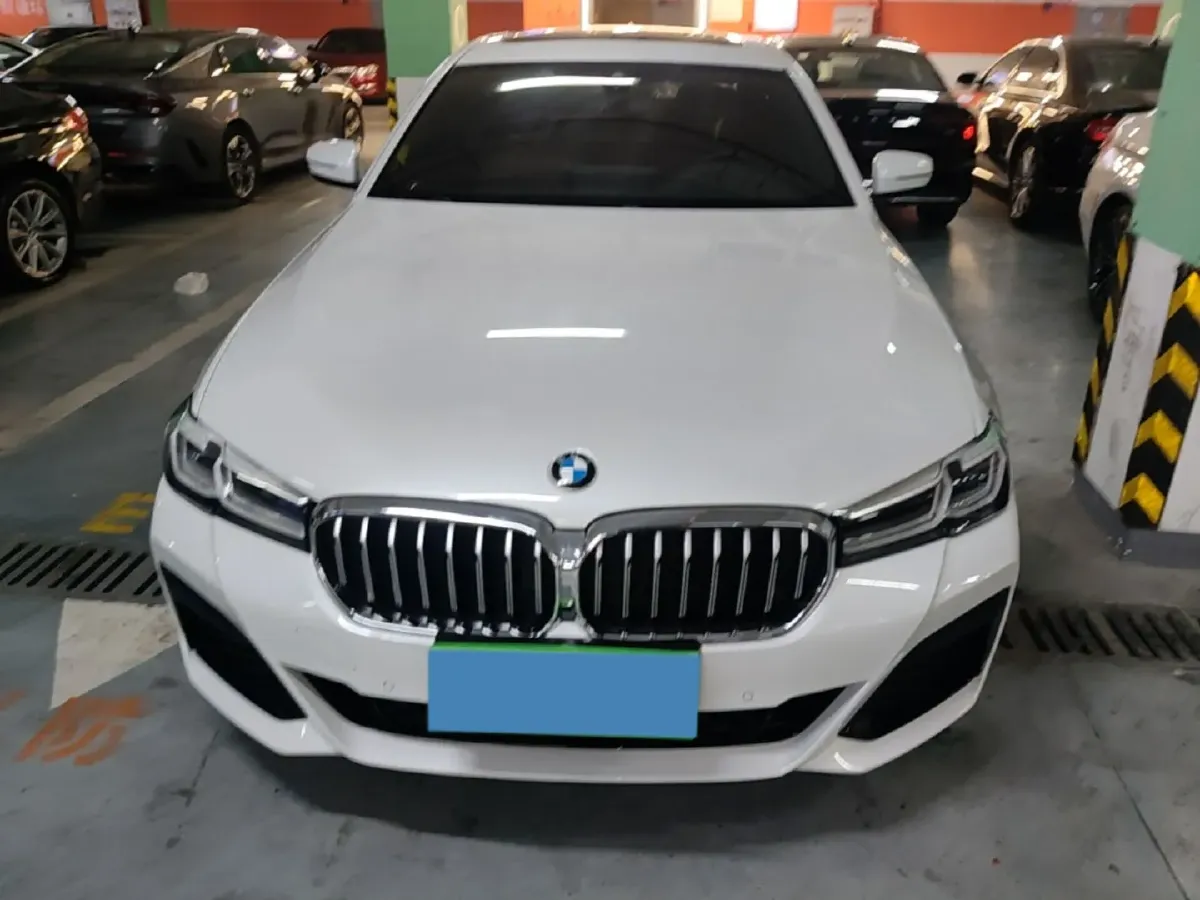 2021 BMW 5 Series 2.0T 184HP L4 8AT,autocango,china used car exporter,china ev exporter,chinese used car exporter,chinese used ev exporter