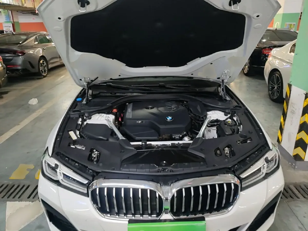 2021 BMW 5 Series 2.0T 184HP L4 8AT,autocango,china used car exporter,china ev exporter,chinese used car exporter,chinese used ev exporter