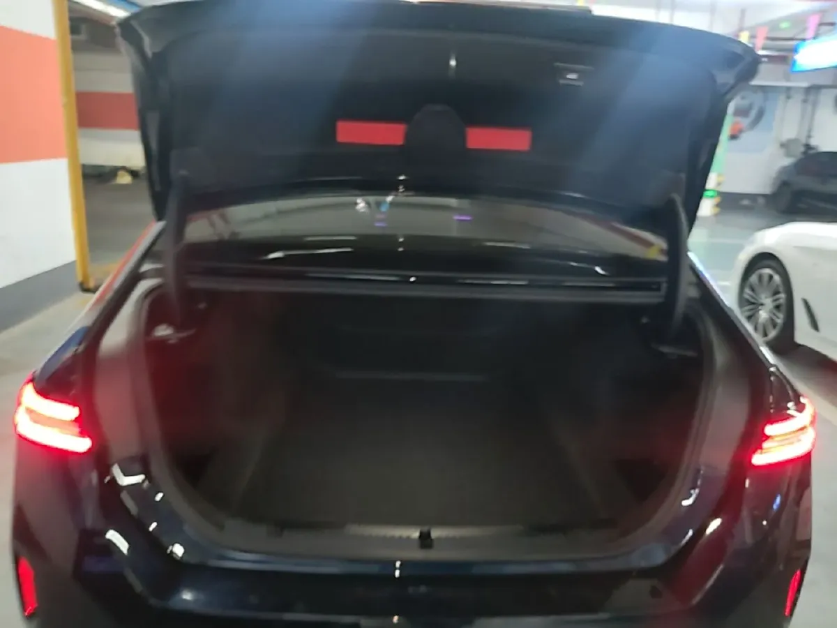 2024 HongQi HQ9 2.0T 252HP L4 8AT,autocango,china used car exporter,china ev exporter,chinese used car exporter,chinese used ev exporter