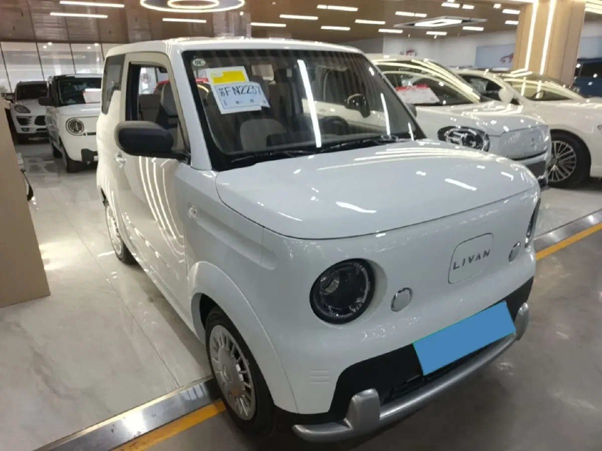 2025 Geely Lanqiqiu BEV,autocango,china used car exporter,china ev exporter,chinese used car exporter,chinese used ev exporter