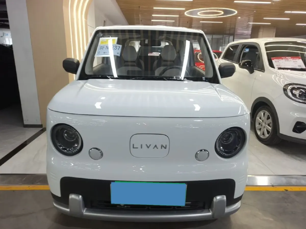 2025 Geely Lanqiqiu BEV,autocango,china used car exporter,china ev exporter,chinese used car exporter,chinese used ev exporter