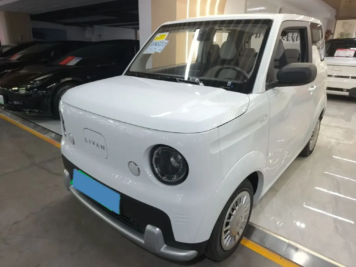 2025 Geely Lanqiqiu BEV,autocango,china used car exporter,china ev exporter,chinese used car exporter,chinese used ev exporter