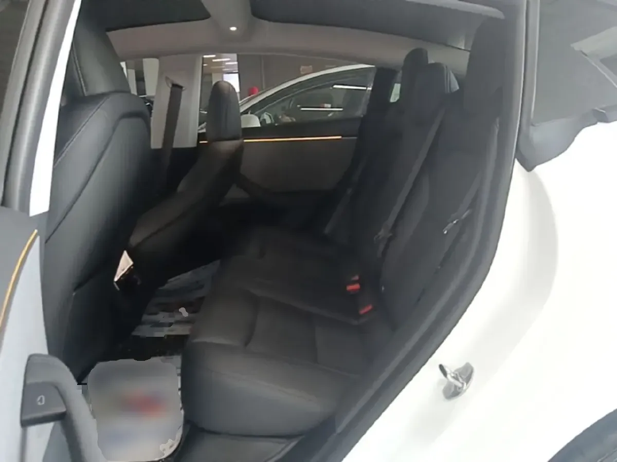 2025 Tesla Model 3 BEV,autocango,china used car exporter,china ev exporter,chinese used car exporter,chinese used ev exporter