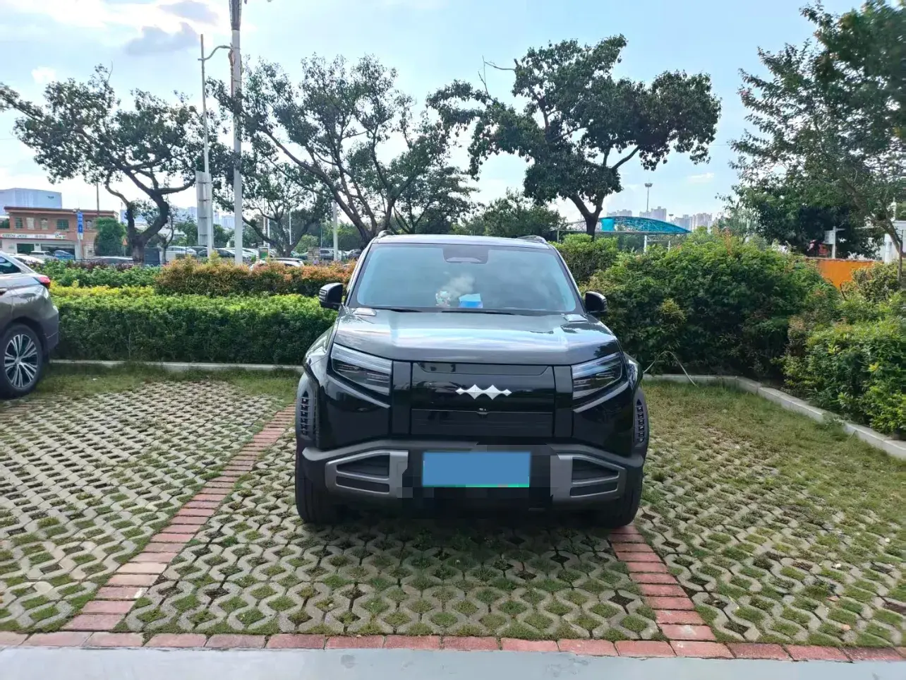 2025 FANGCHENGBAO TAI thumbnail 3