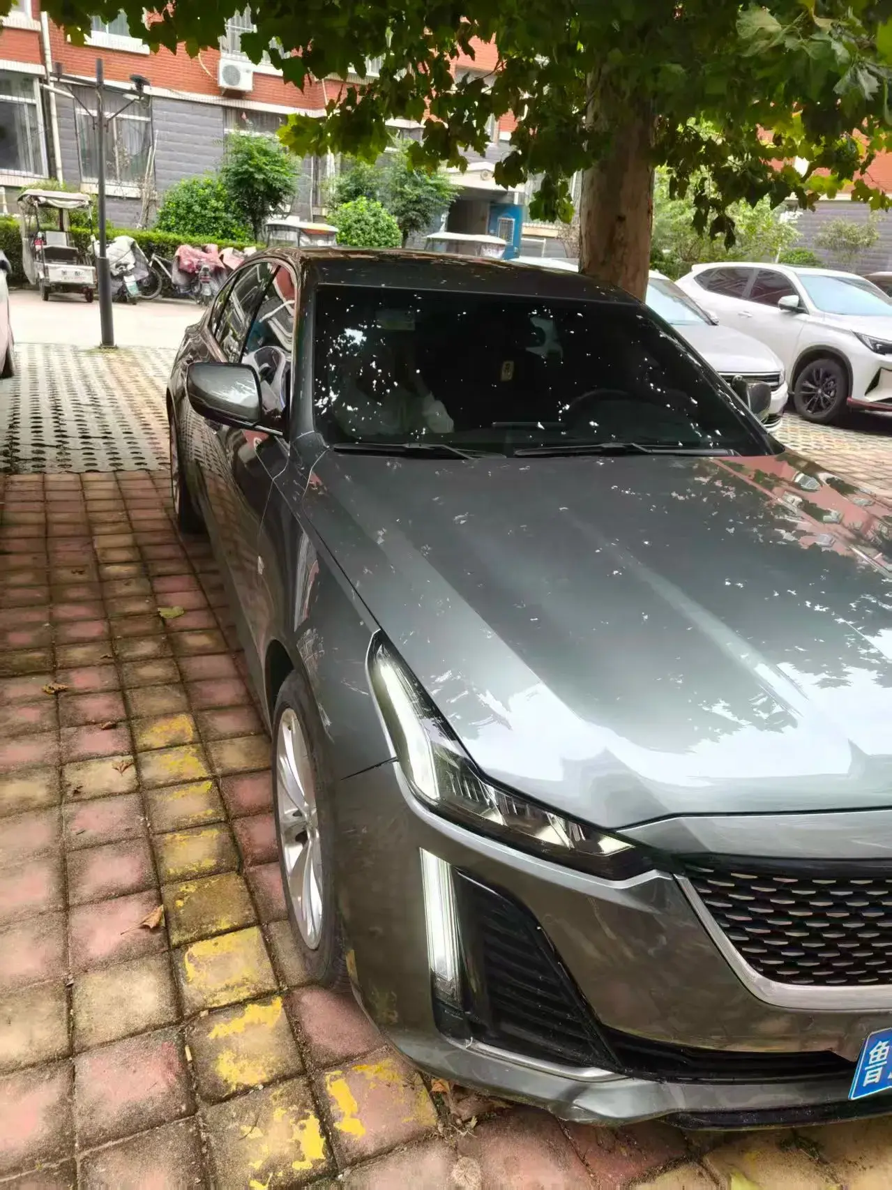 2023 CADILLAC CT5 thumbnail 4