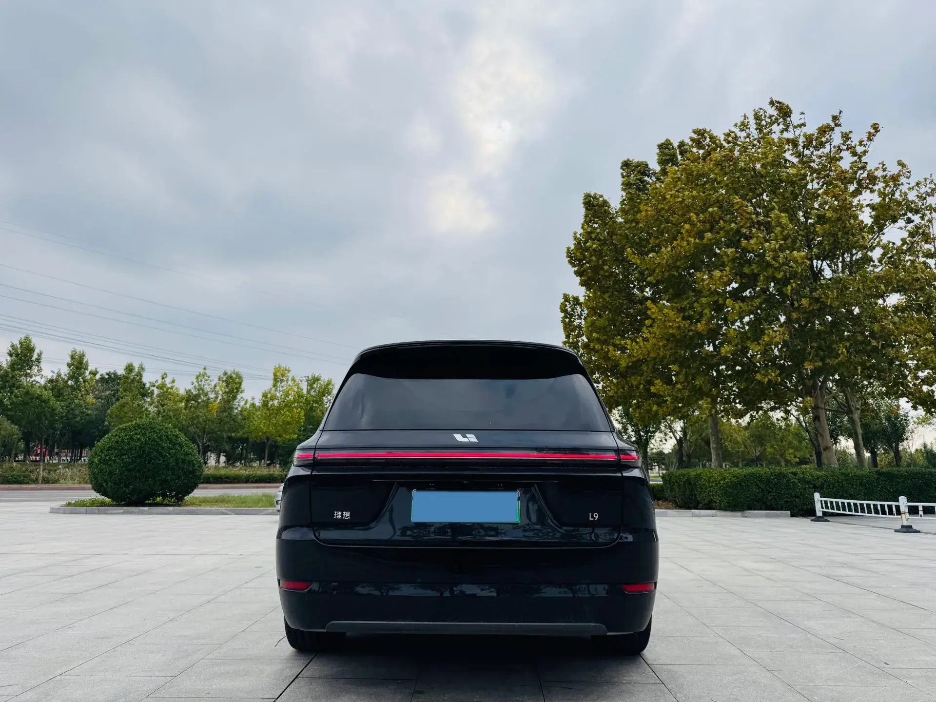 2022 LI L9 thumbnail 4