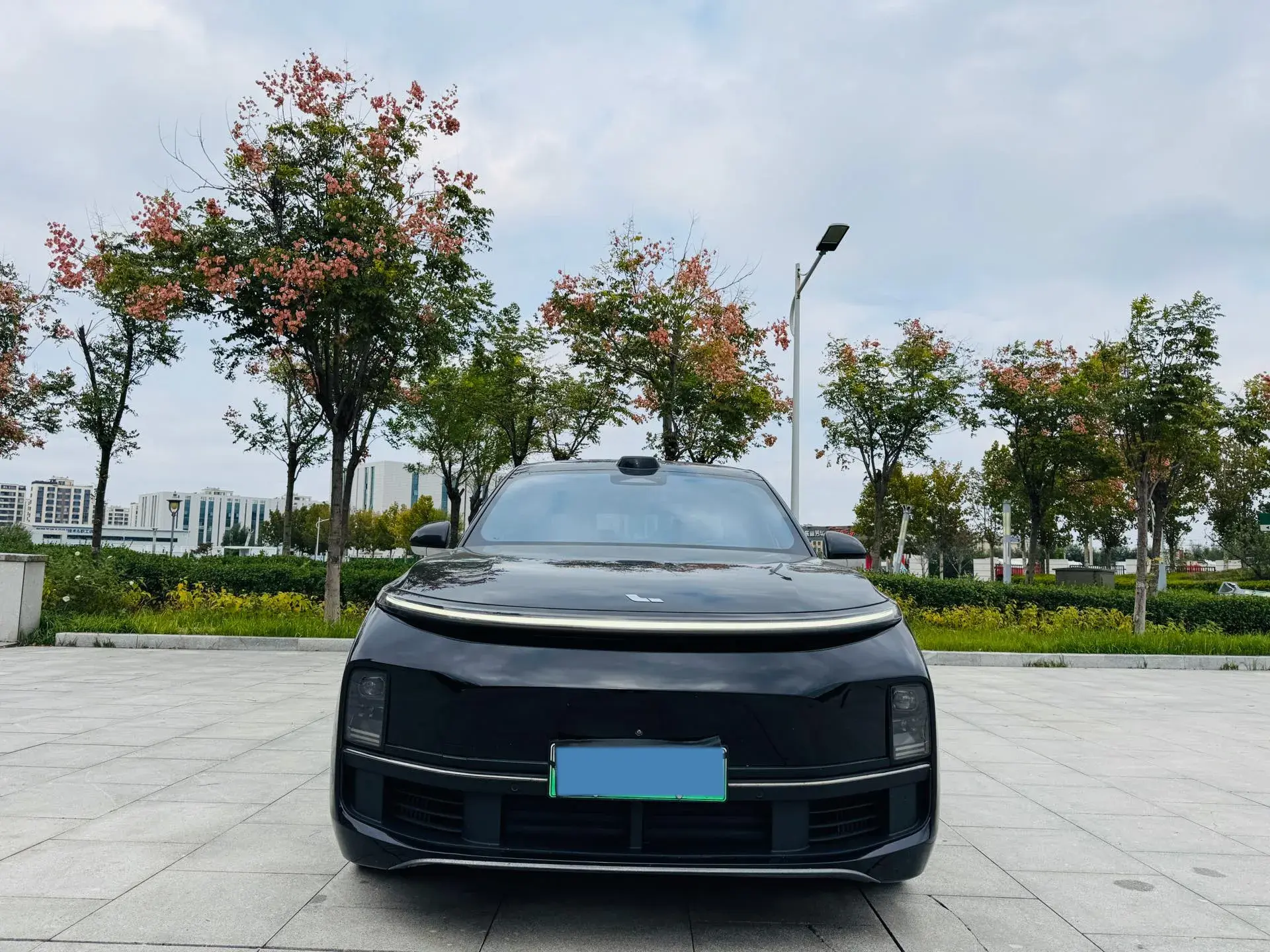 2022 LI L9 thumbnail 3