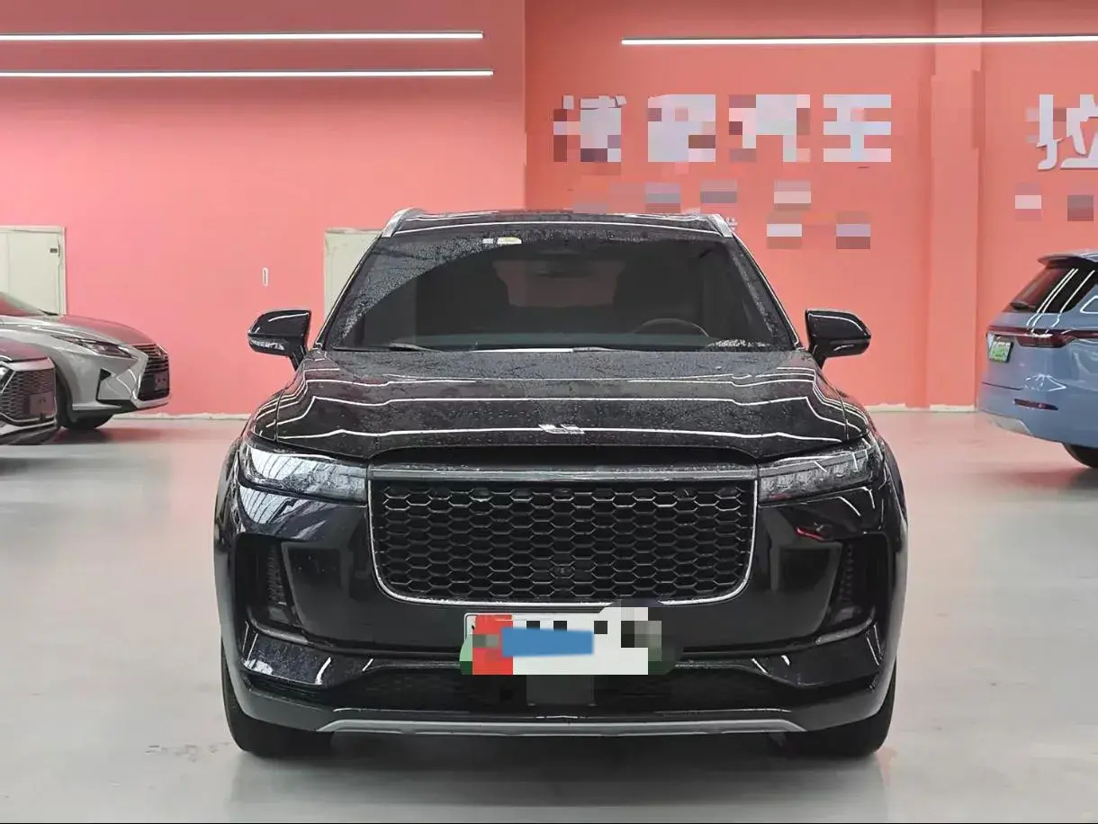 2021 LI ONE thumbnail 2