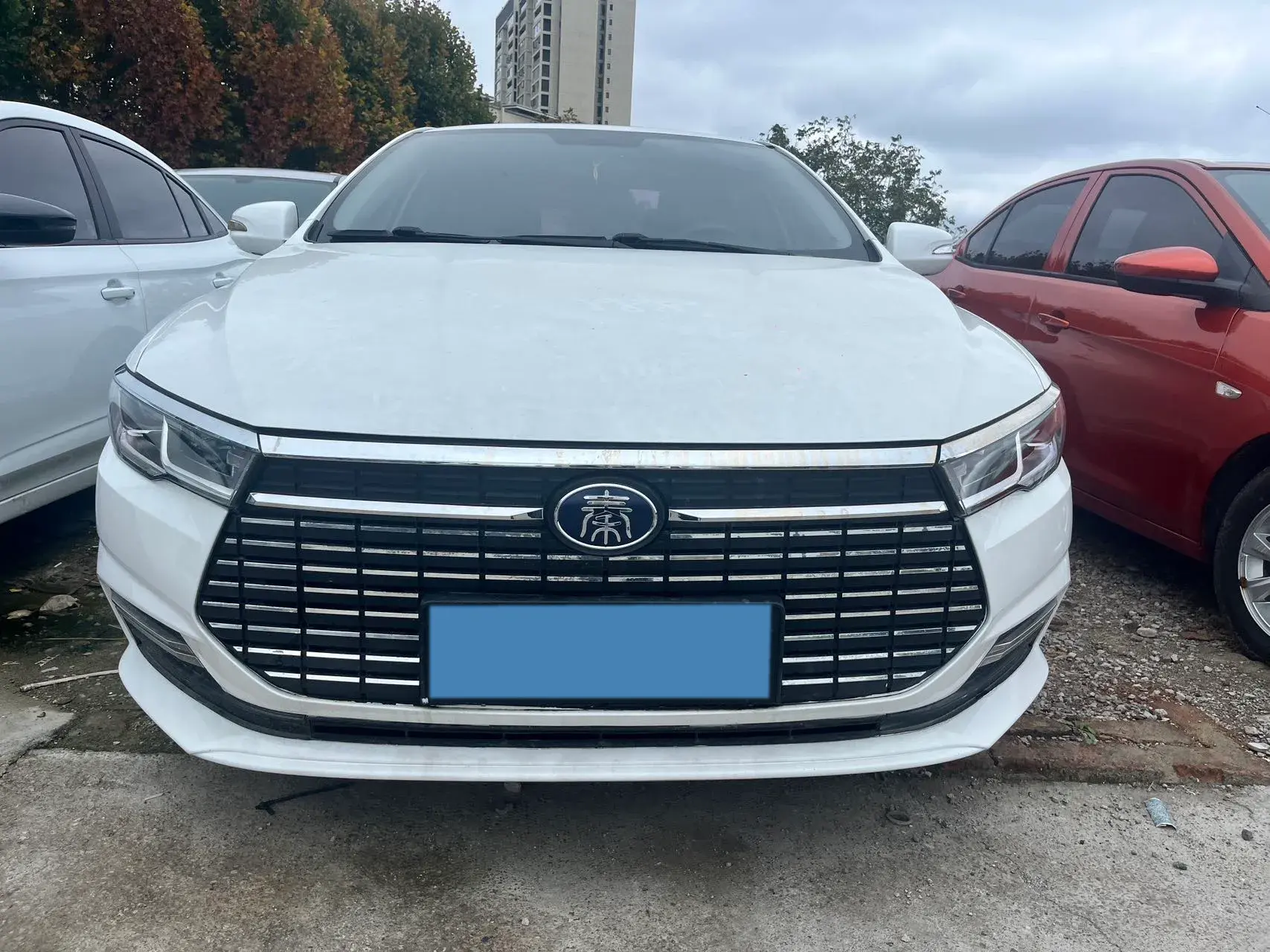 2019 BYD QIN thumbnail 2