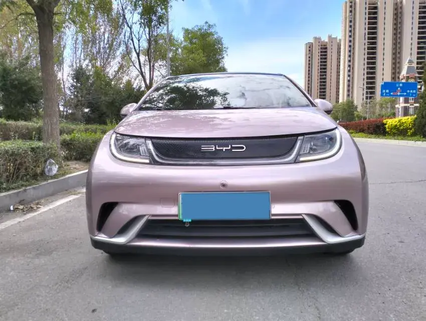 2021 BYD DOLPHIN thumbnail 2