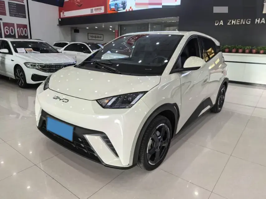 2023 BYD SEAGULL view 1