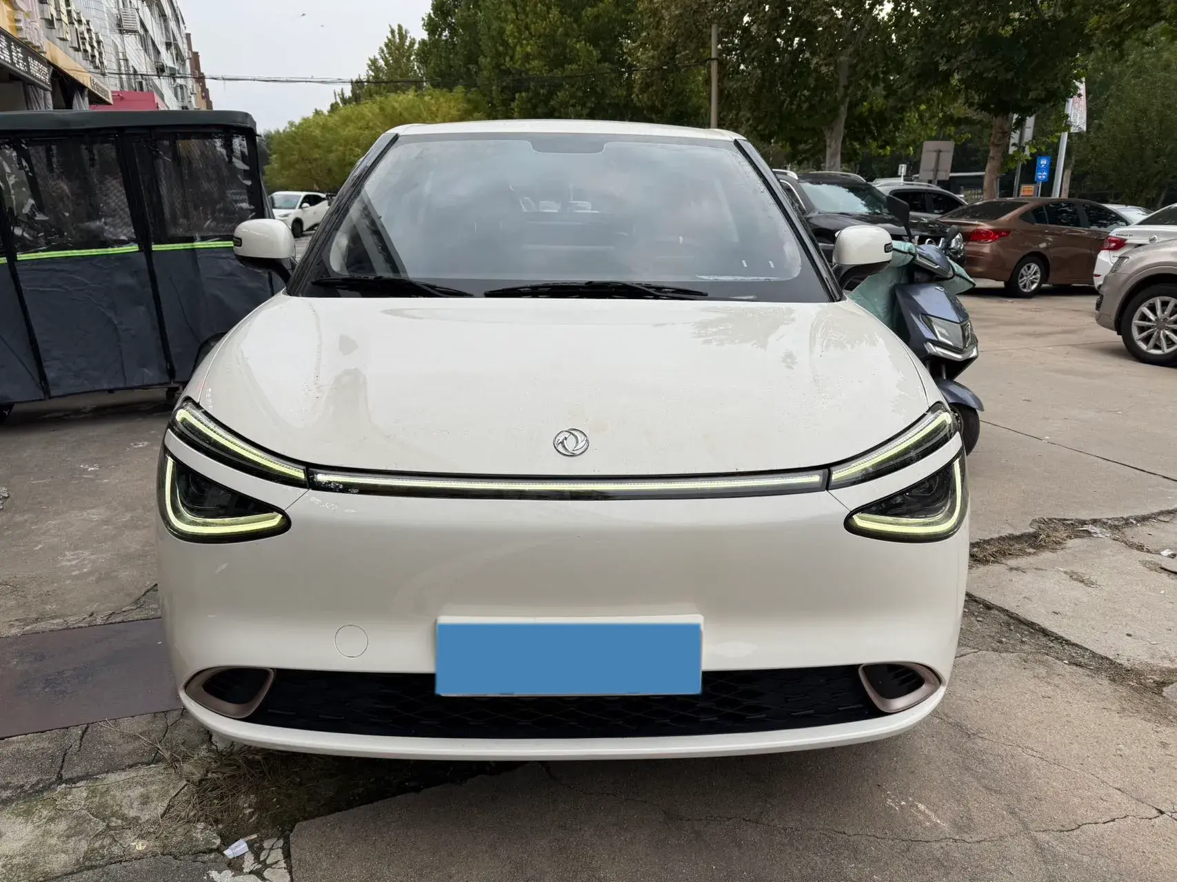 2024 DONGFENG NAMMI thumbnail 2