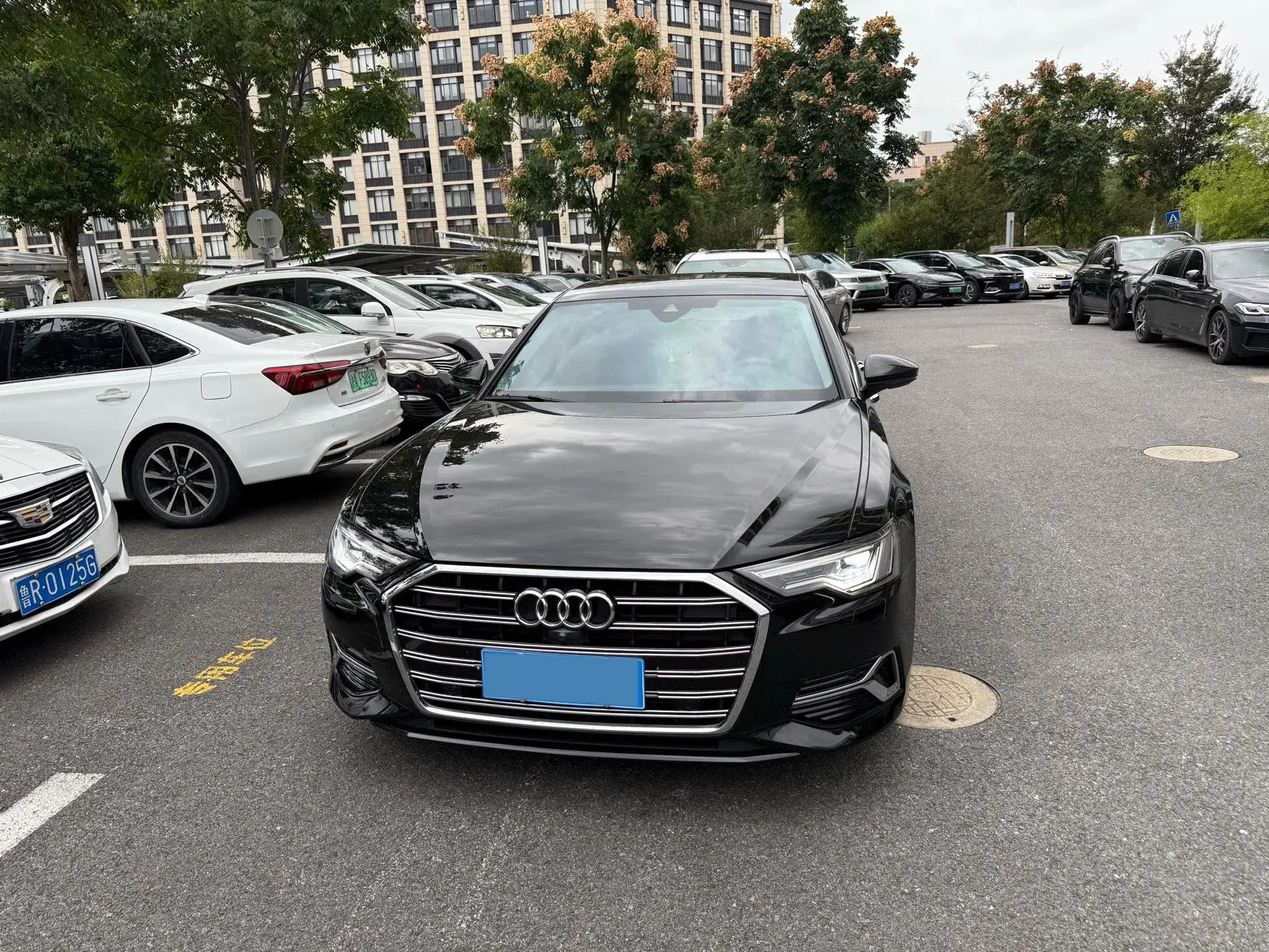 2024 AUDI A6L thumbnail 3