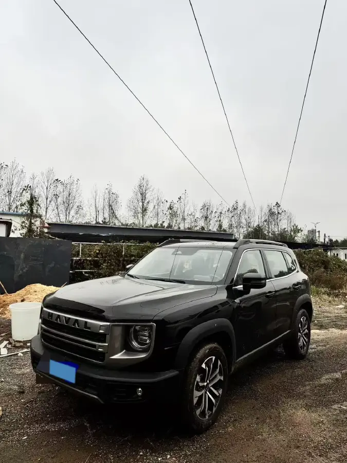 2024 Haval Dargo 1.5T 184HP L4 7DCT