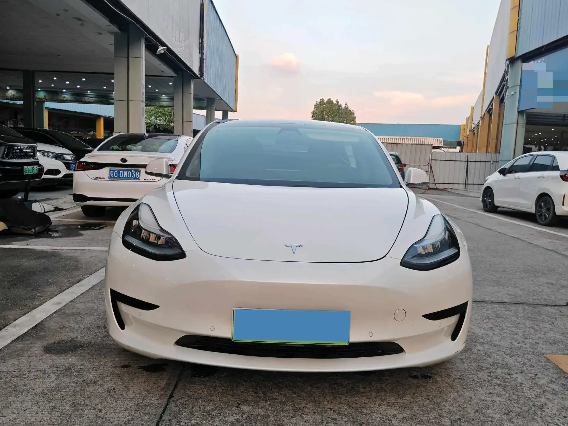 2019 TESLA MODEL thumbnail 2