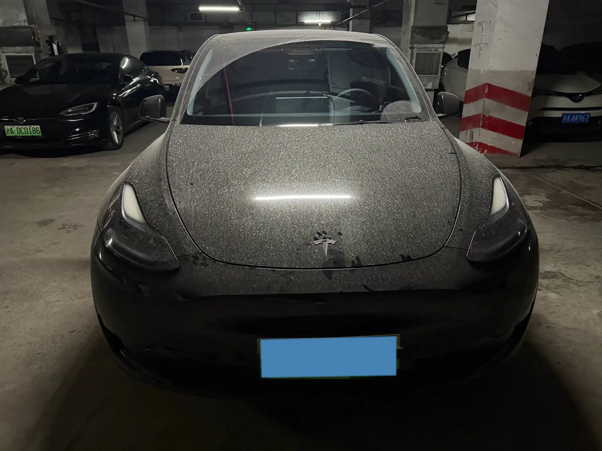 2022 TESLA MODEL thumbnail 2