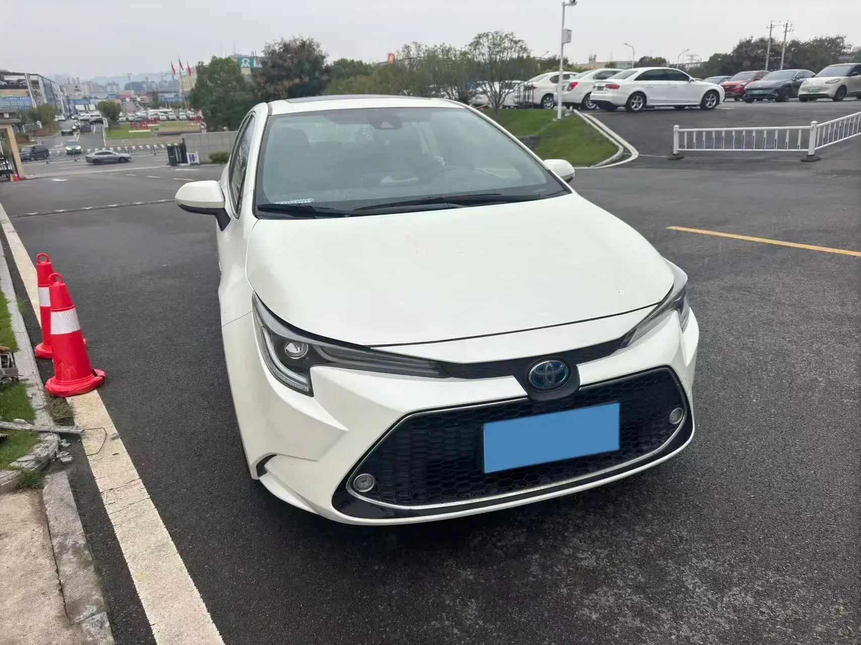 2019 TOYOTA LEVIN thumbnail 2