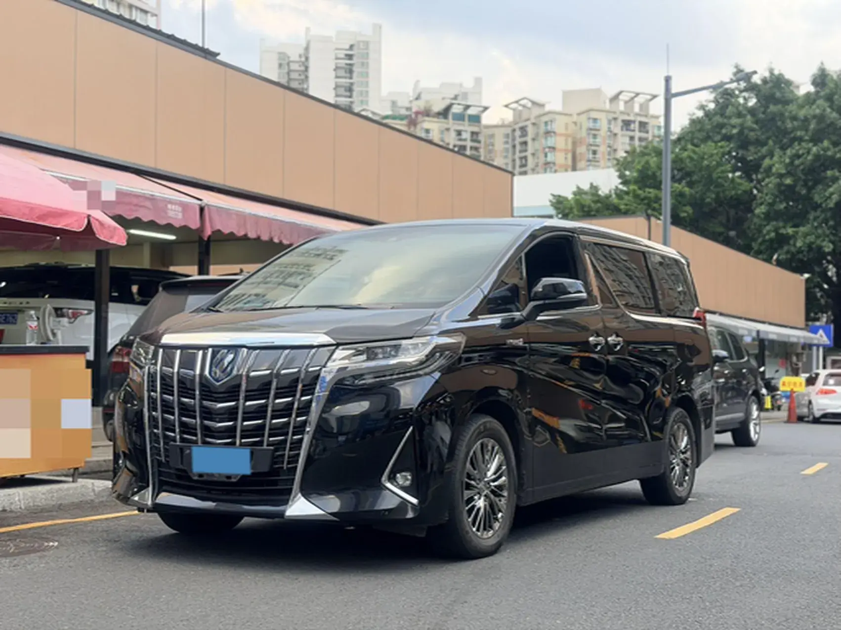 2019 TOYOTA ALPHARD view 1