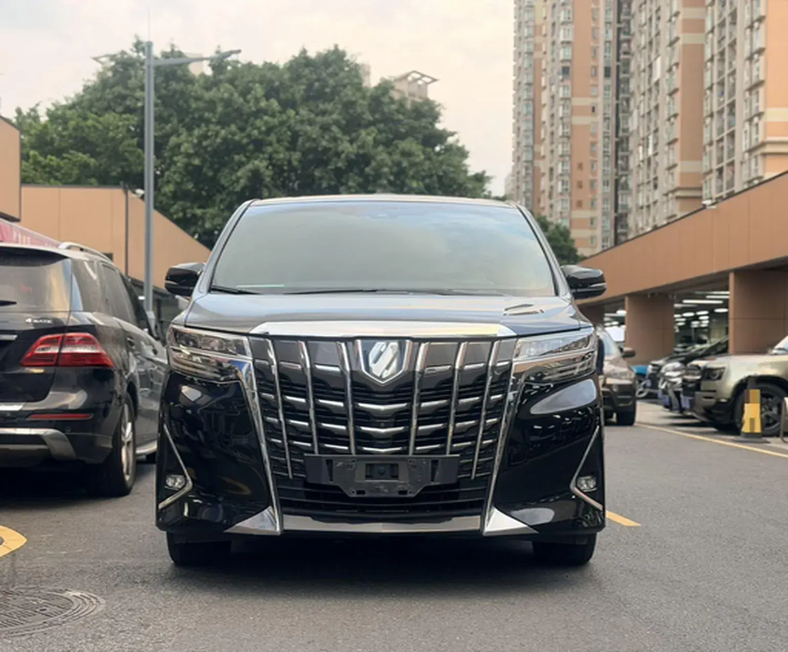 2019 TOYOTA ALPHARD thumbnail 2