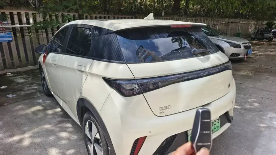 2023 BYD DOLPHIN thumbnail 4