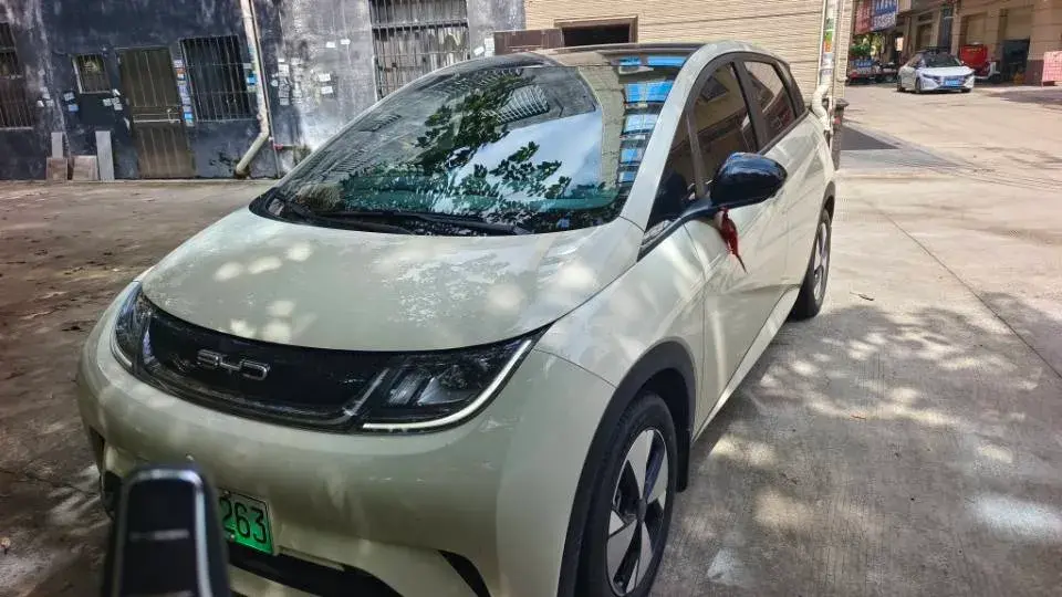 2023 BYD DOLPHIN view 1