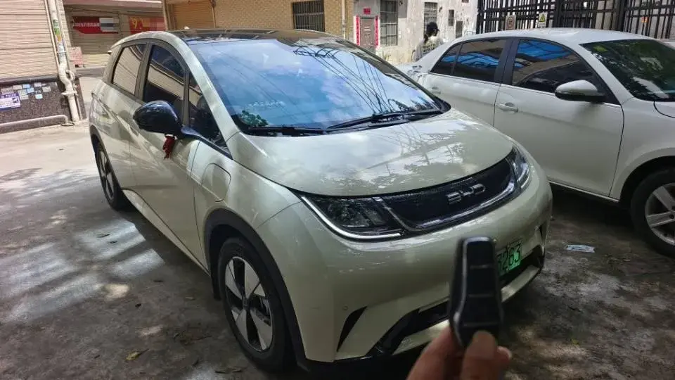 2023 BYD DOLPHIN thumbnail 2