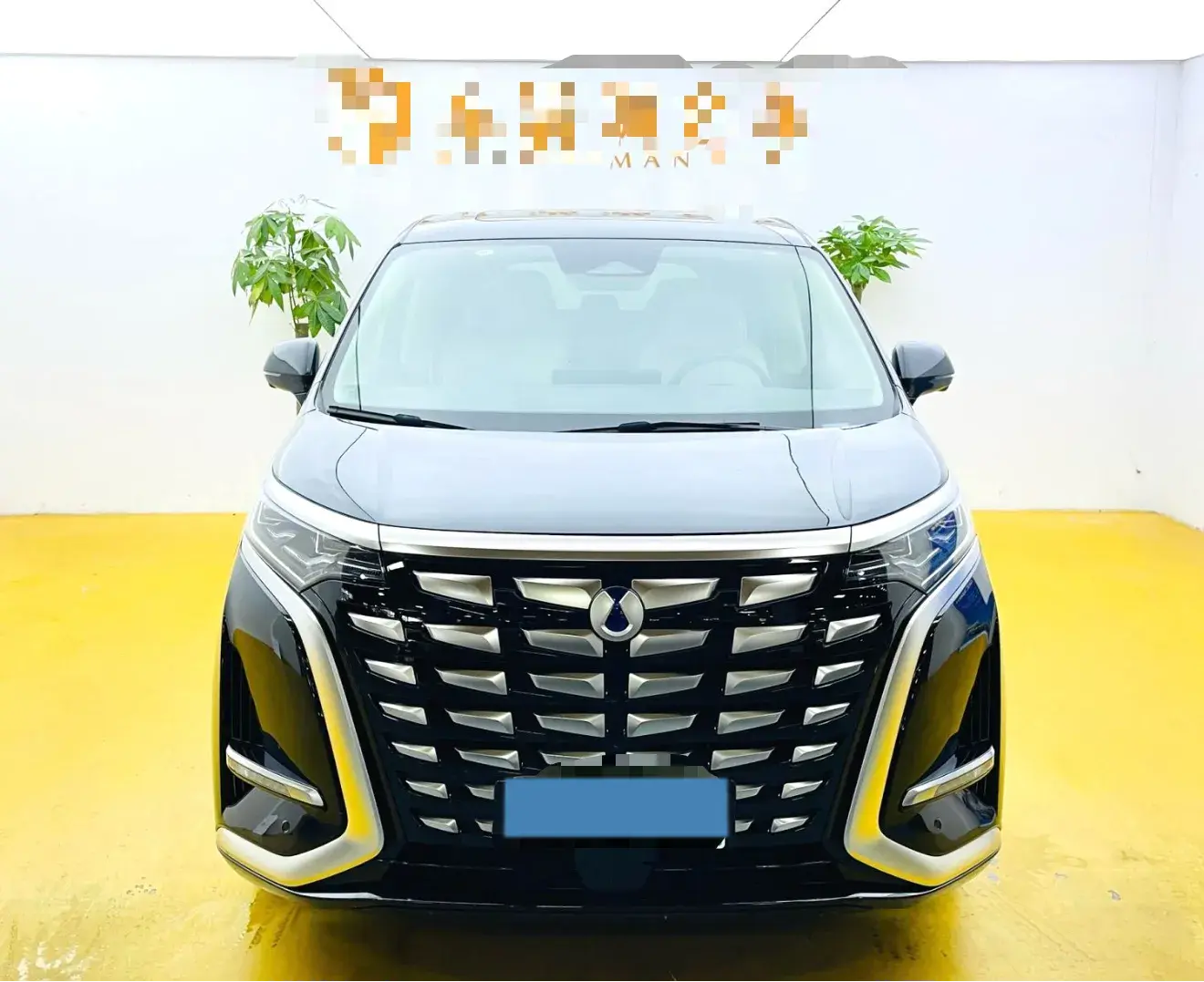 2024 DENZA D9 thumbnail 2