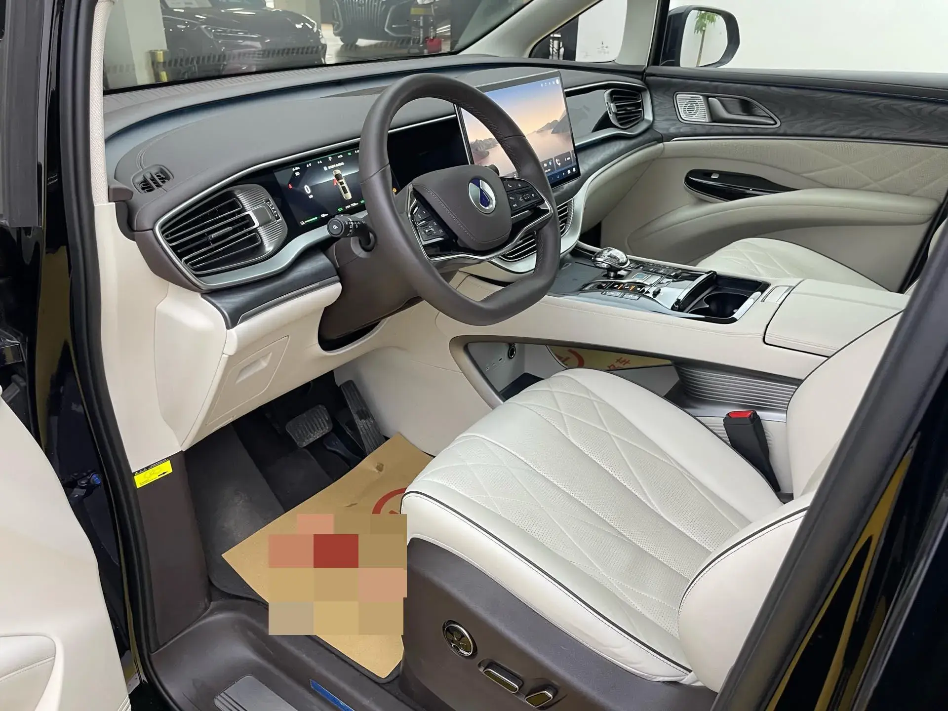 2024 DENZA D9 thumbnail 4