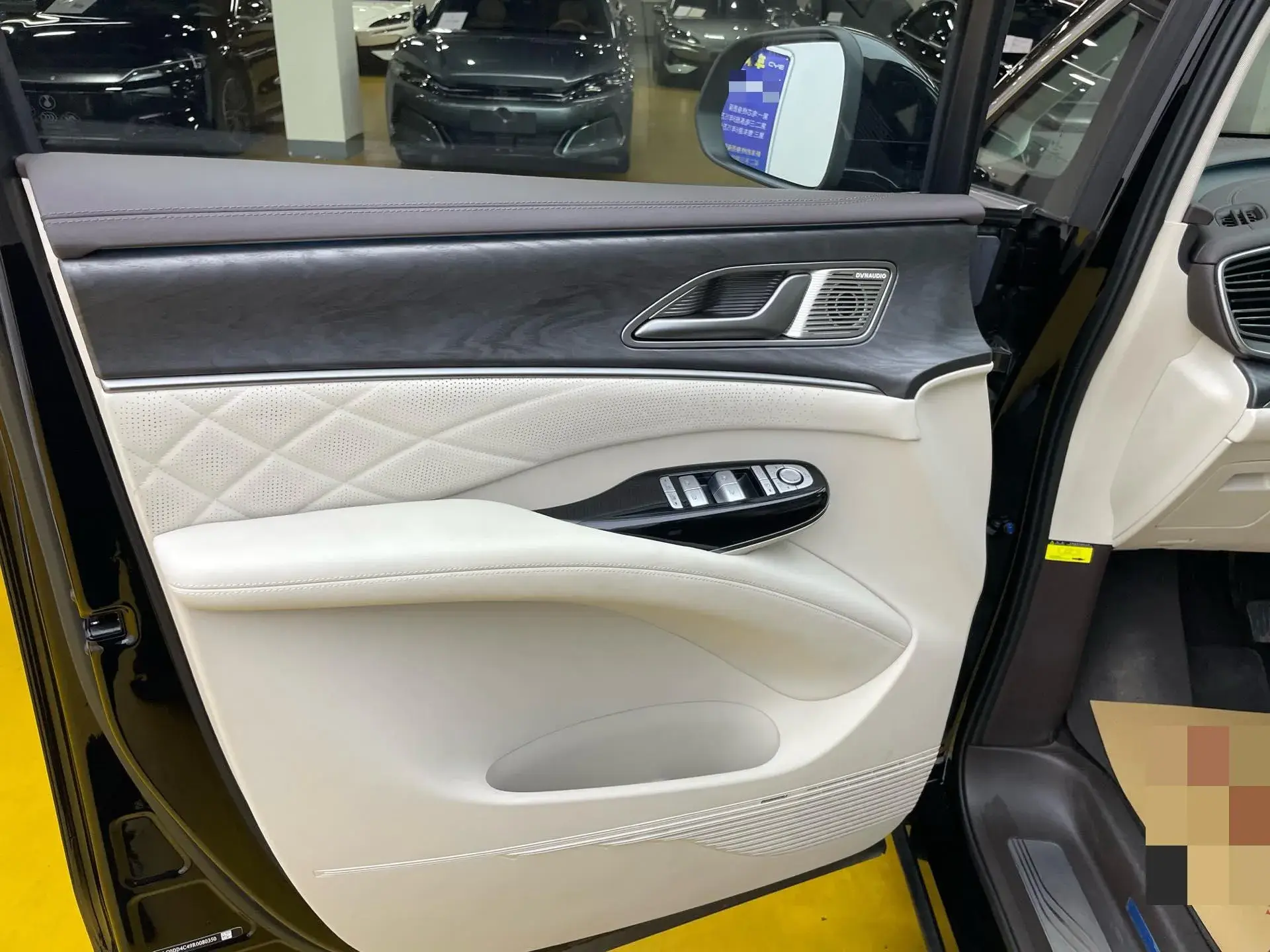 2024 DENZA D9 thumbnail 3