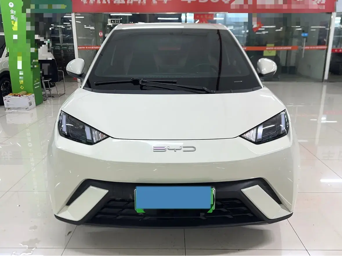 2023 BYD SEAGULL thumbnail 2